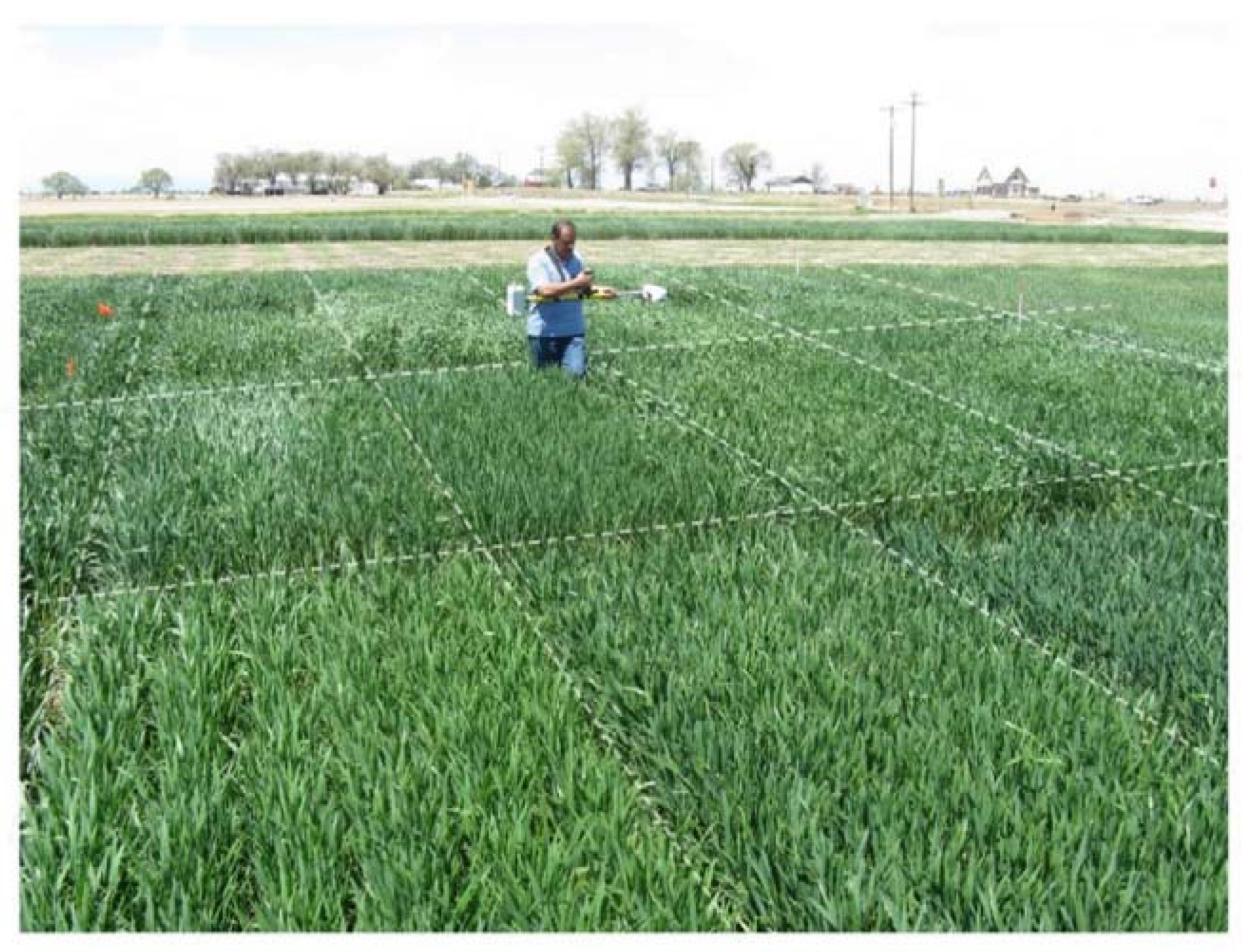 Remotesensing 12 00824 g001