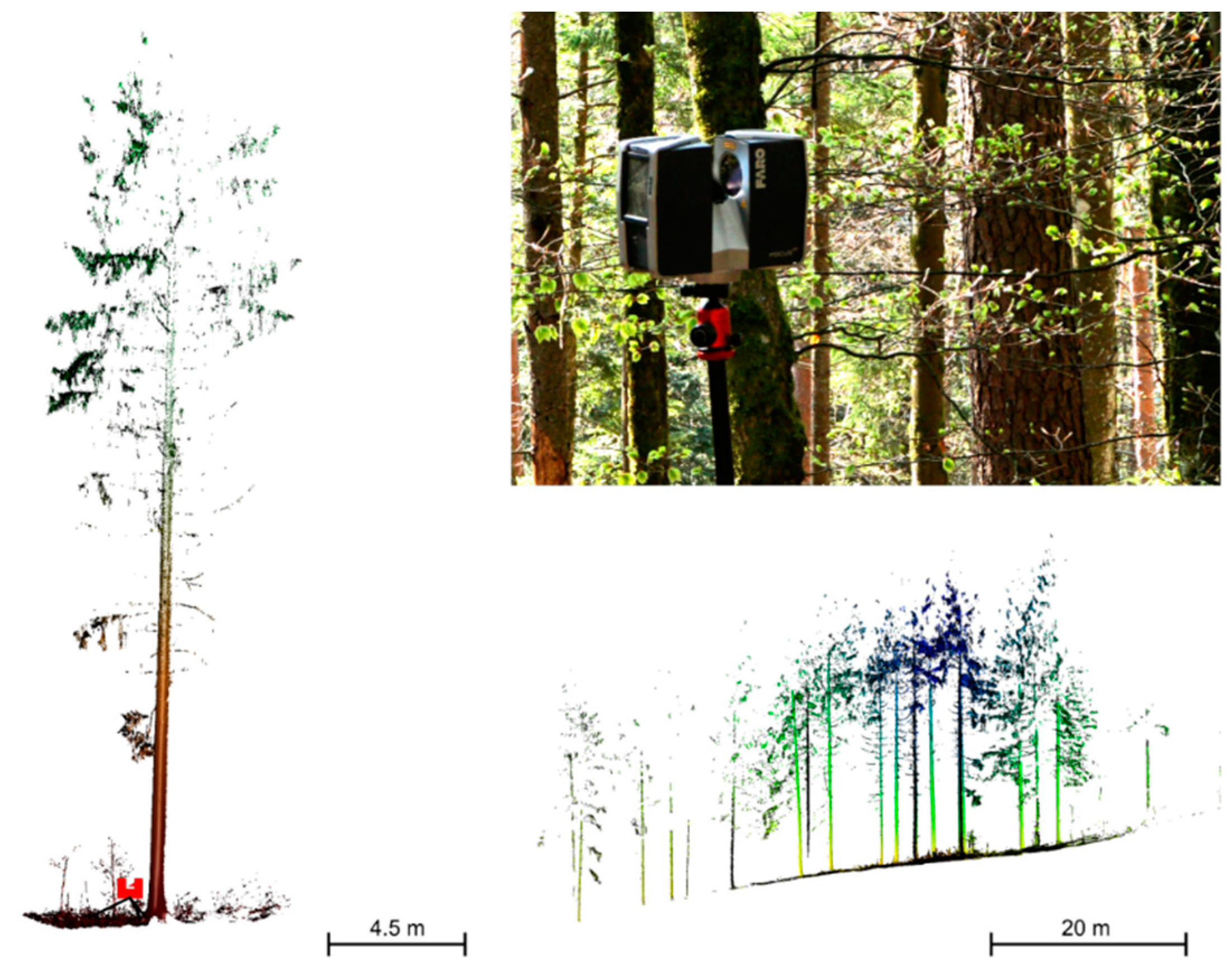 Remotesensing 12 00867 g003