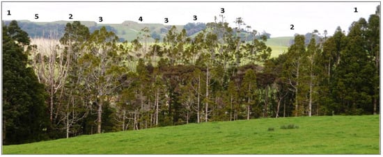 Remotesensing 12 00926 g0a1