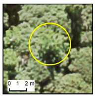 Remotesensing 12 00926 i001