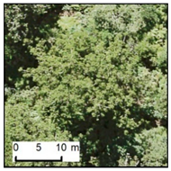 Remotesensing 12 00926 i003