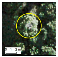 Remotesensing 12 00926 i004