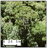 Remotesensing 12 00926 i005