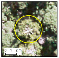 Remotesensing 12 00926 i007