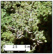 Remotesensing 12 00926 i008