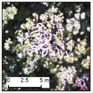 Remotesensing 12 00926 i011