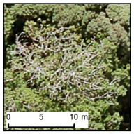 Remotesensing 12 00926 i012