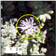 Remotesensing 12 00926 i013