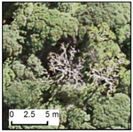 Remotesensing 12 00926 i014