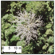 Remotesensing 12 00926 i015