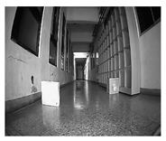 Remotesensing 12 00968 i001