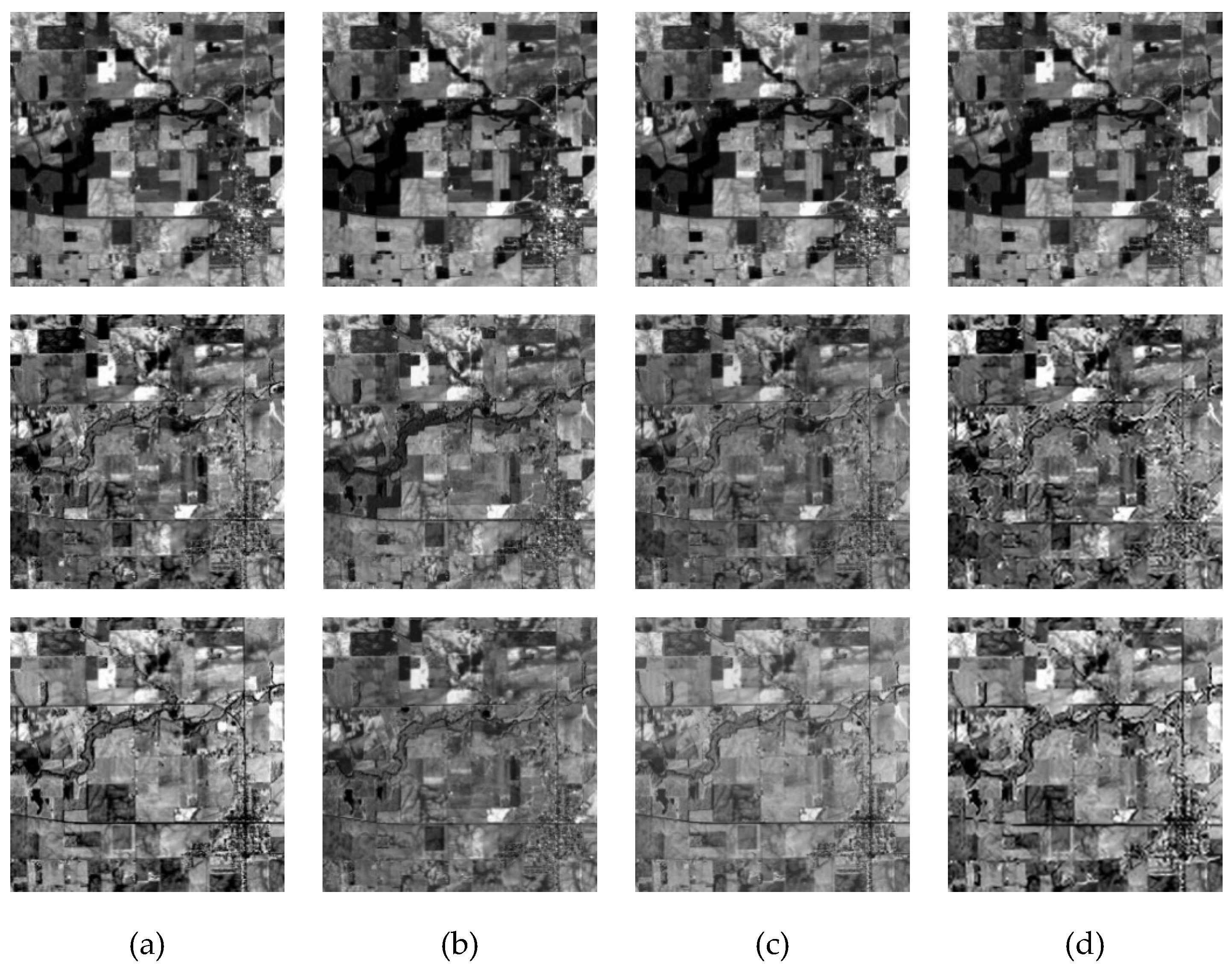 Remotesensing 12 00993 g006