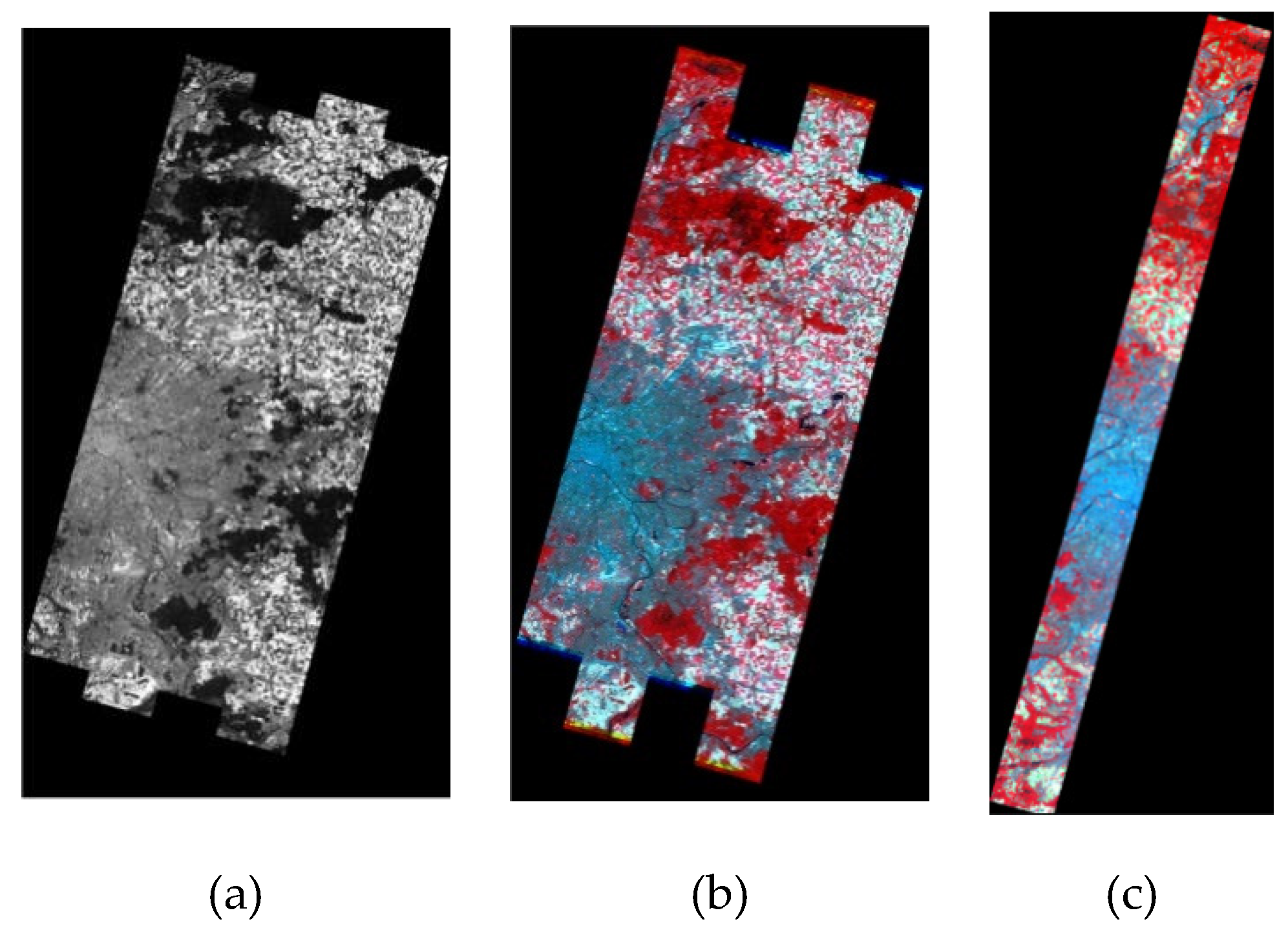 Remotesensing 12 00993 g009