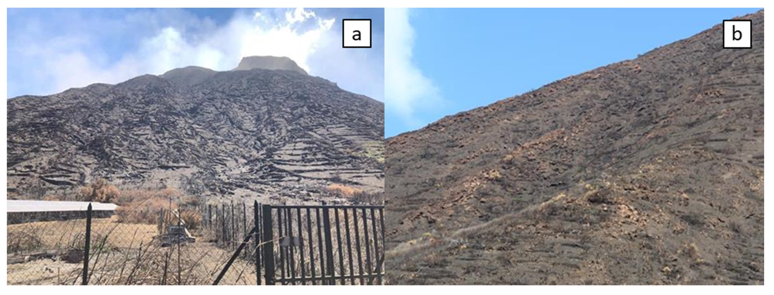 Remotesensing 12 00994 g009 Remotesensing 12 00994 g009