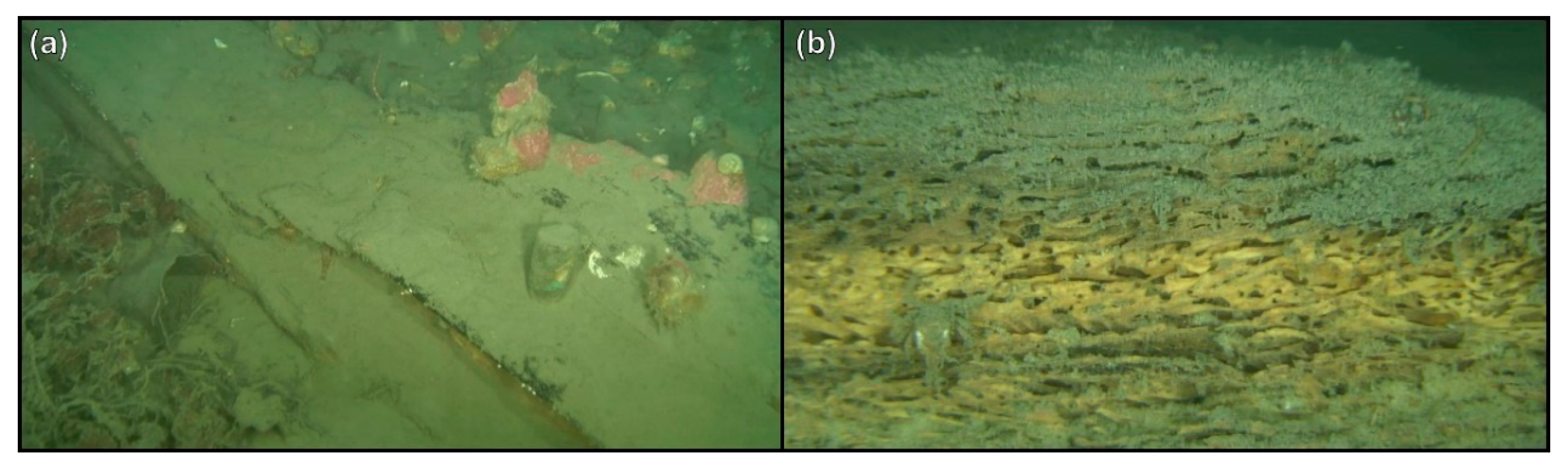 Remotesensing 12 00997 g004