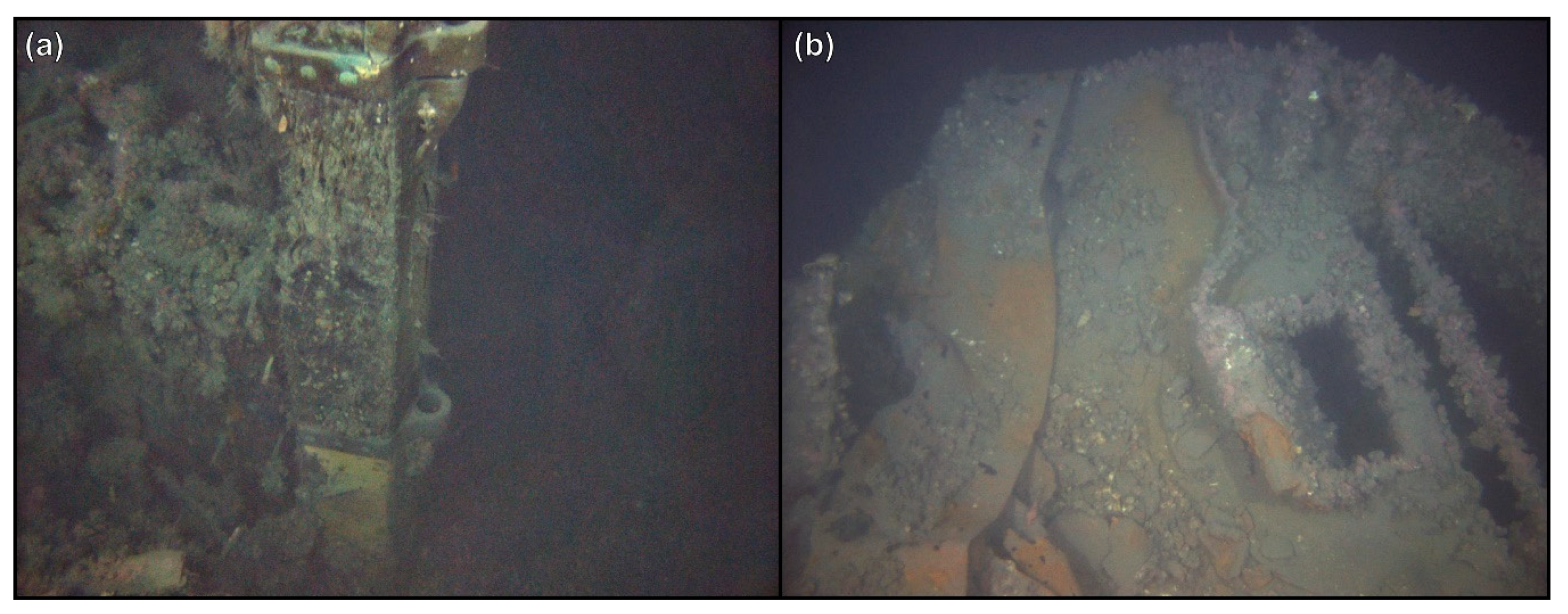 Remotesensing 12 00997 g010