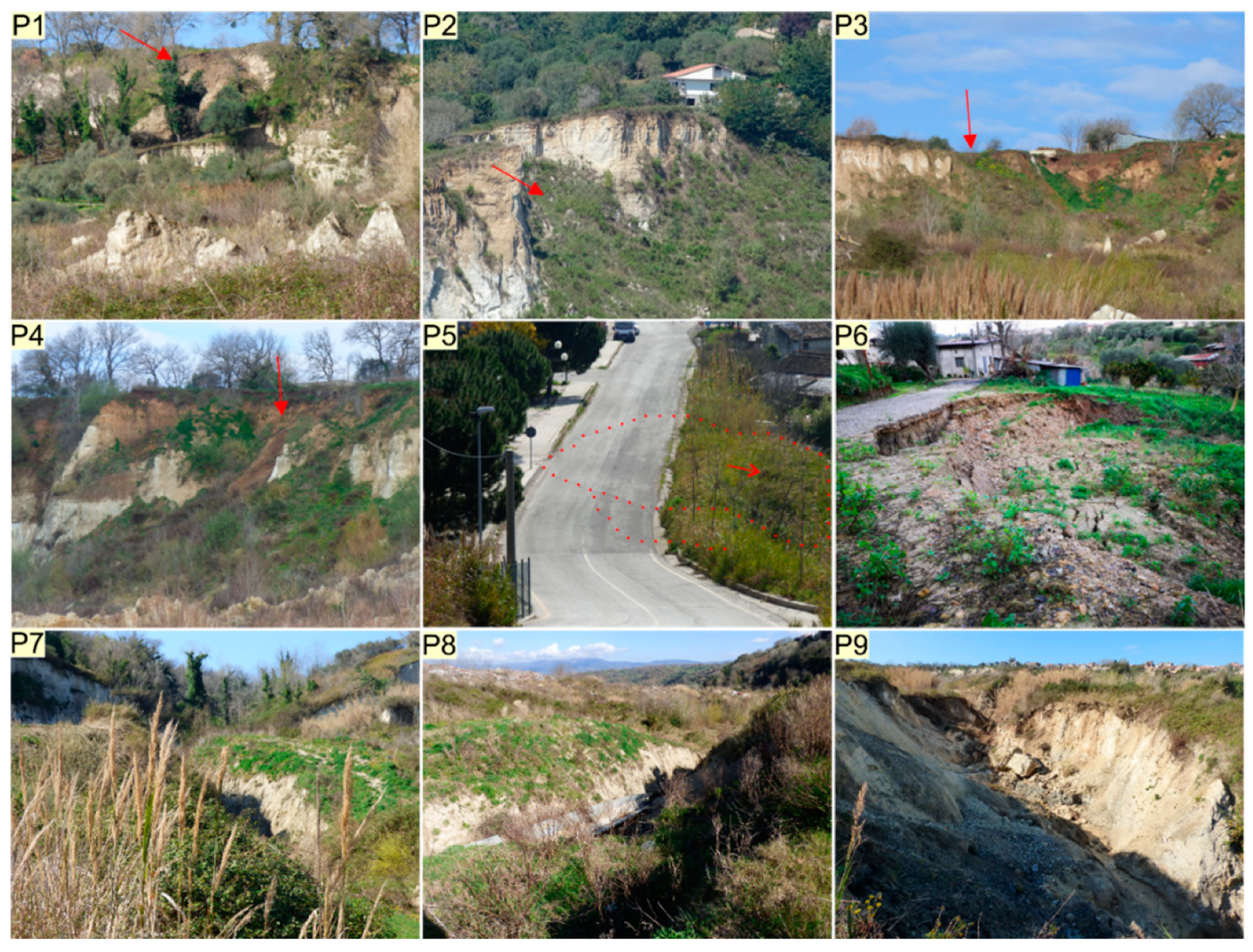 Remotesensing 12 01039 g004