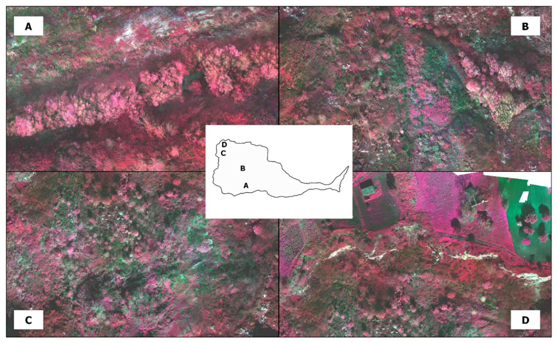 Remotesensing 12 01039 g013