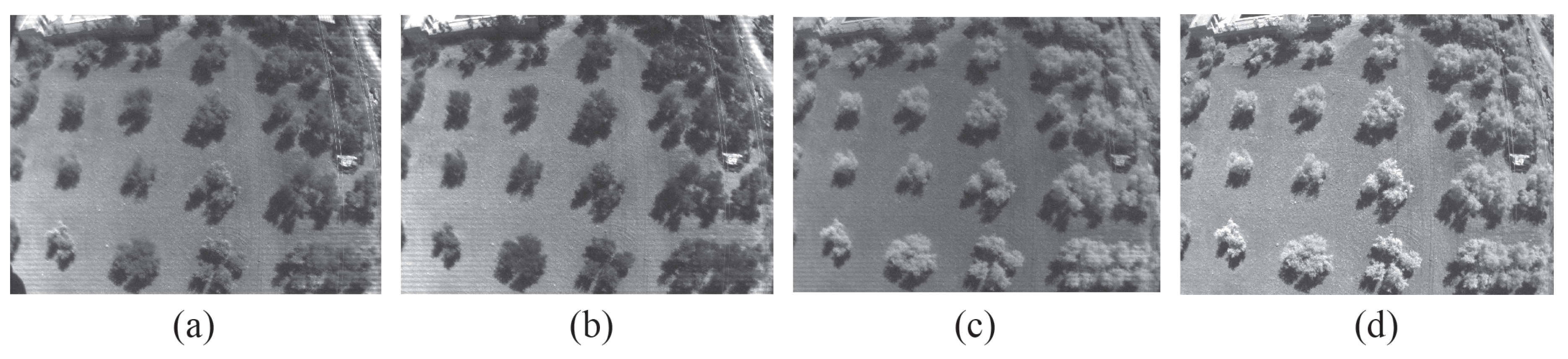 Remotesensing 12 01106 g007