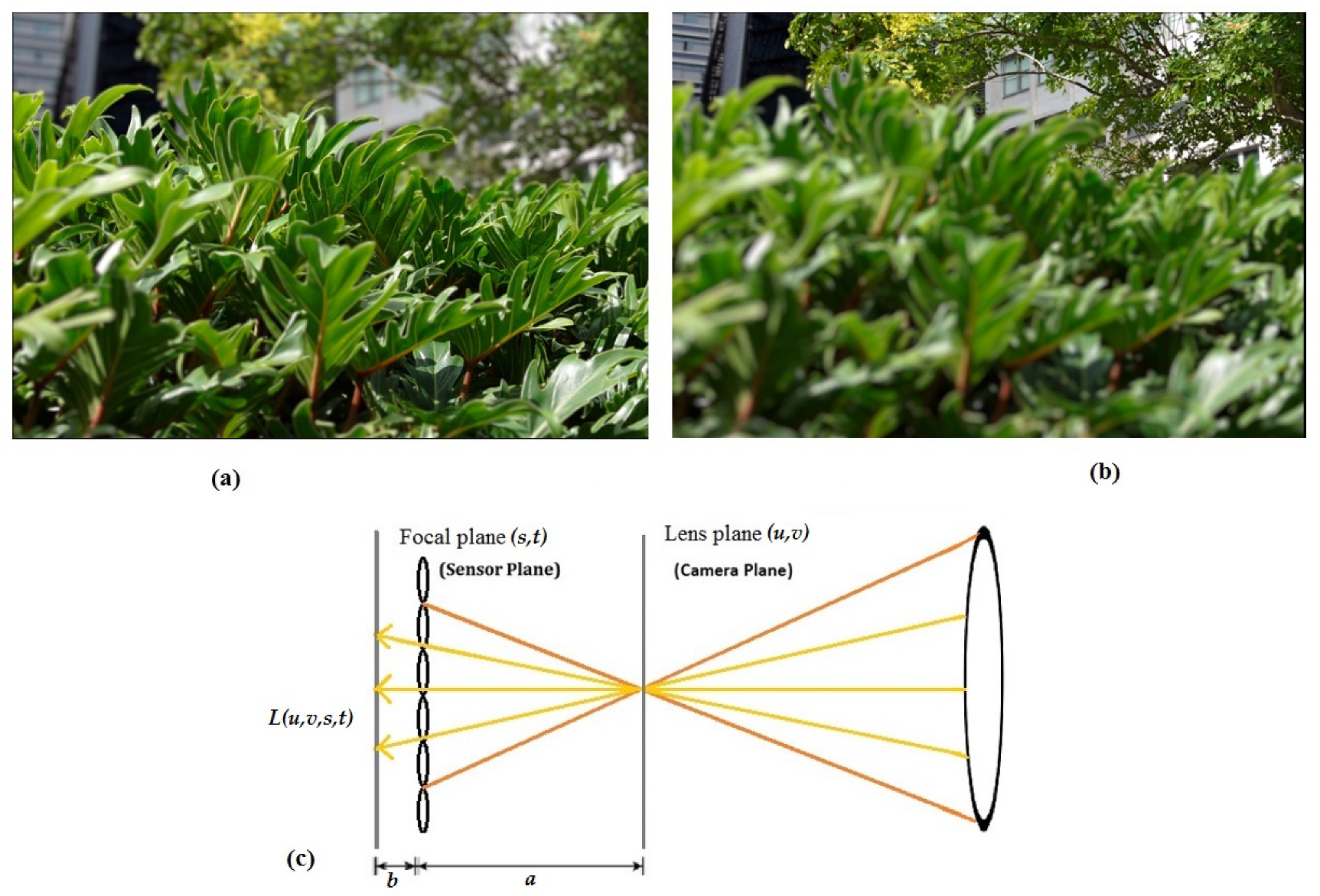 Remotesensing 12 01125 g003