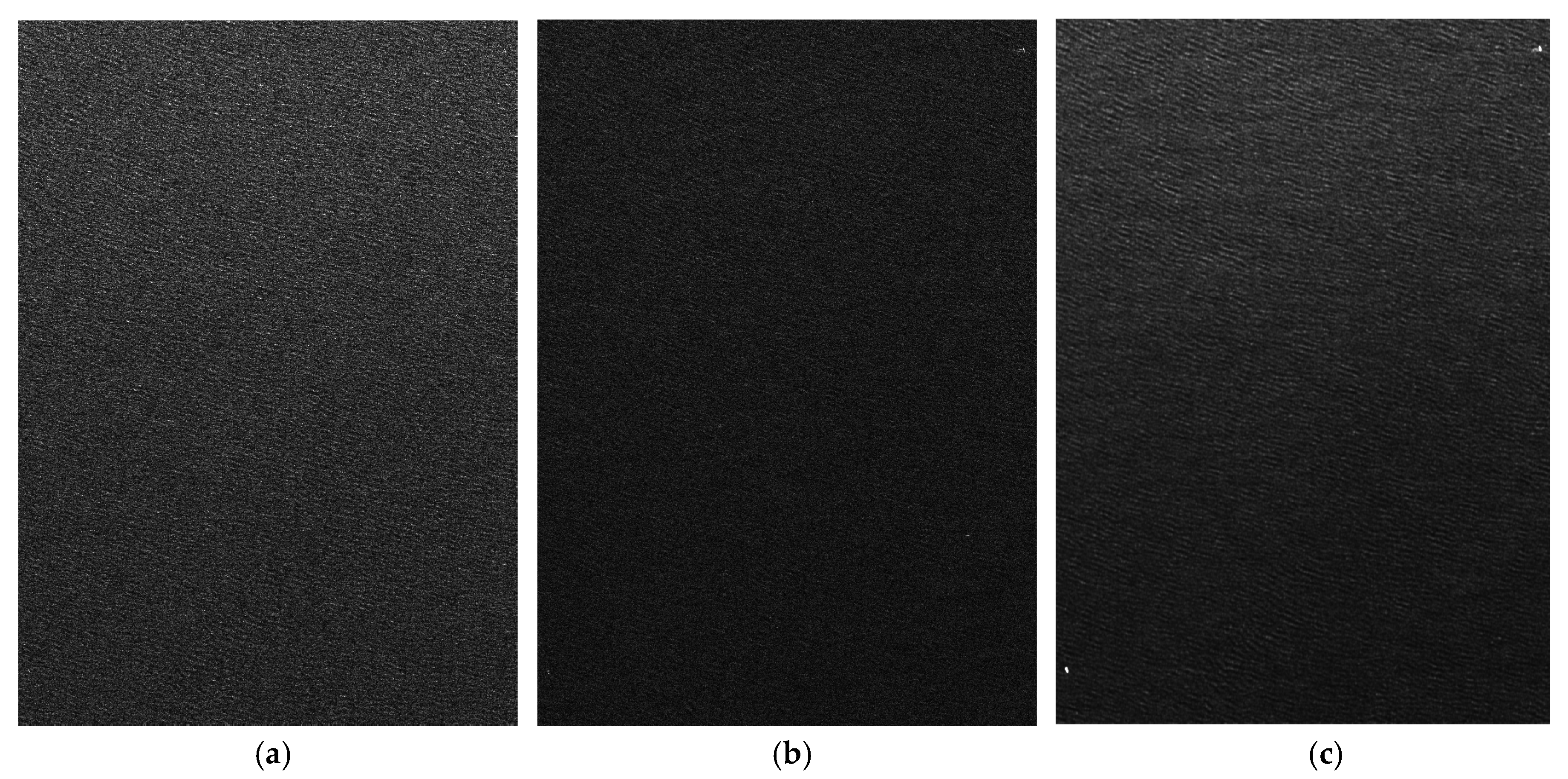 Remotesensing 12 01148 g013a