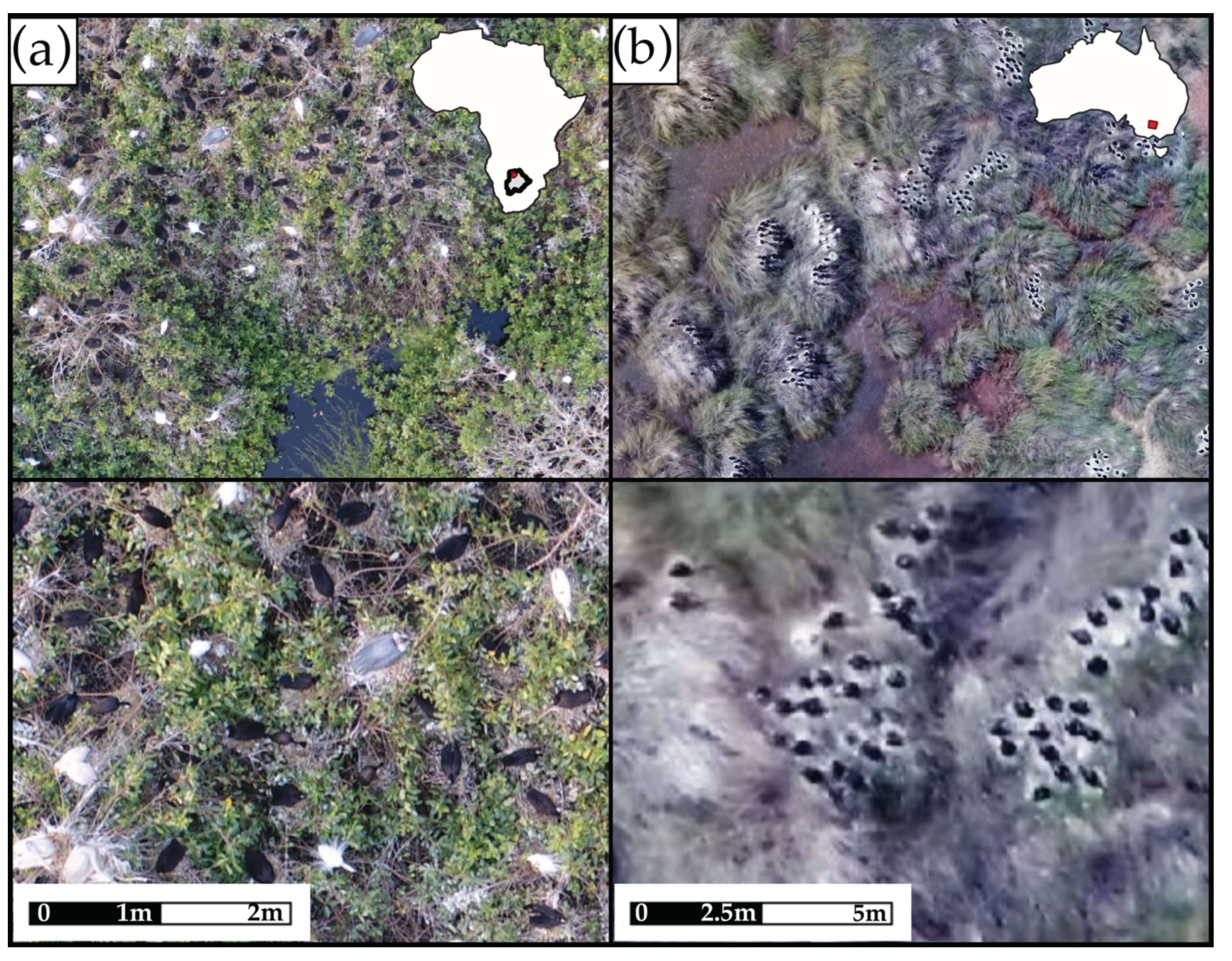 Remotesensing 12 01185 g001