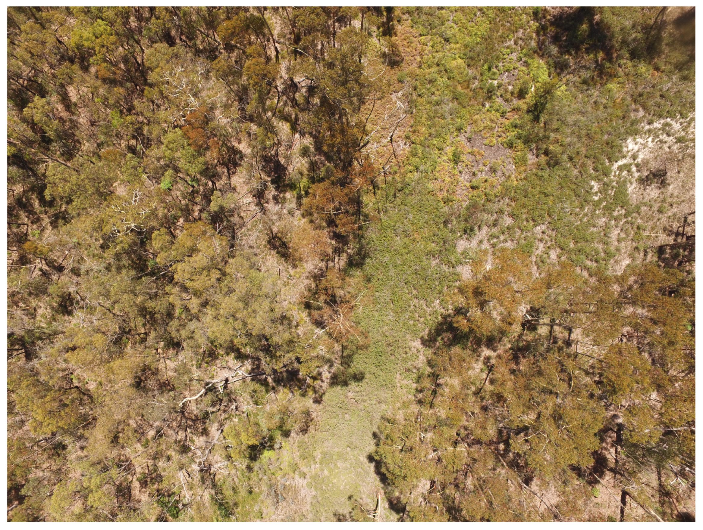 Remotesensing 12 01238 g003