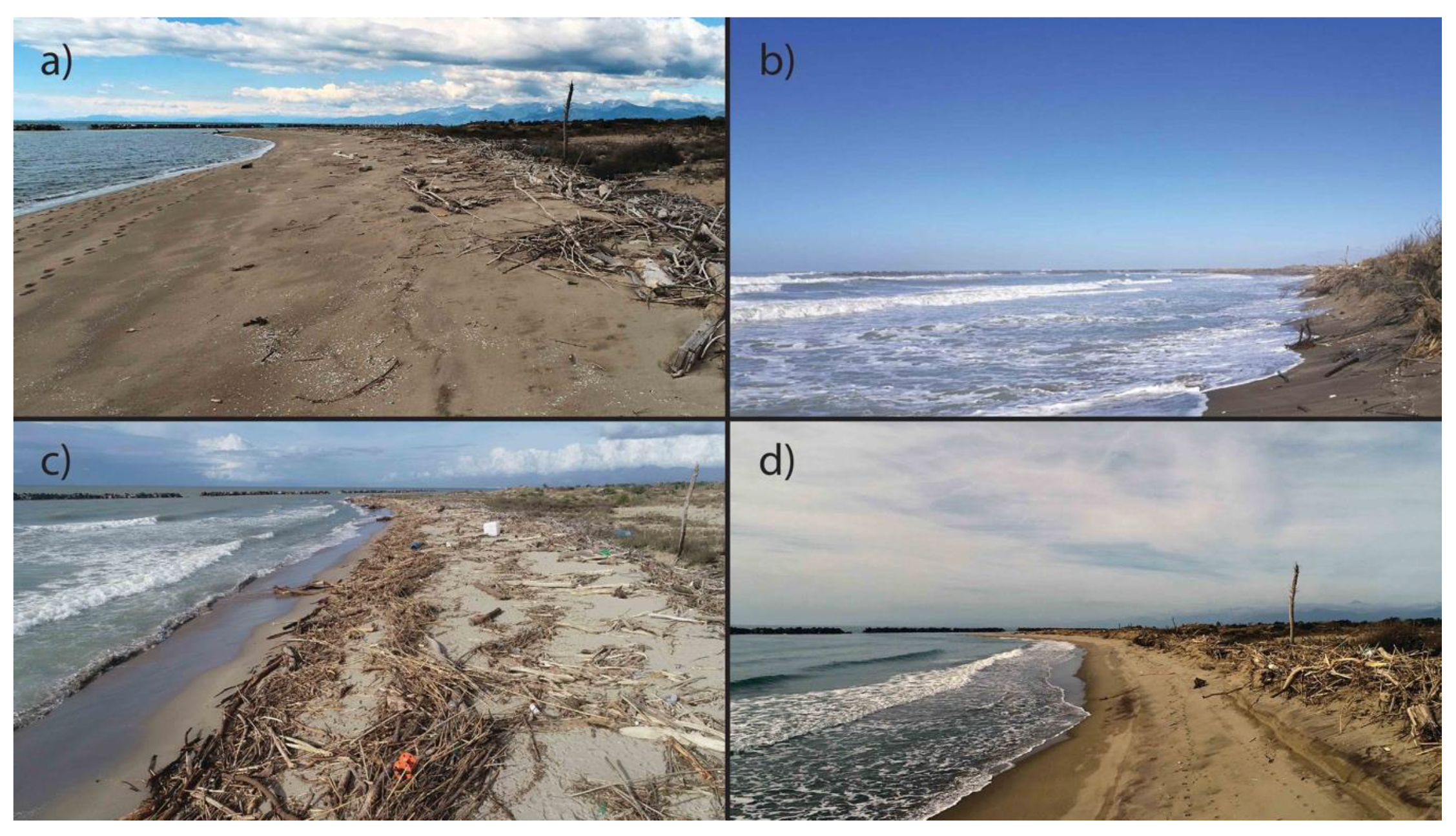 Remotesensing 12 01260 g012