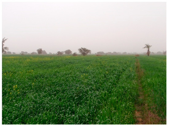 Remotesensing 12 01264 g0a3