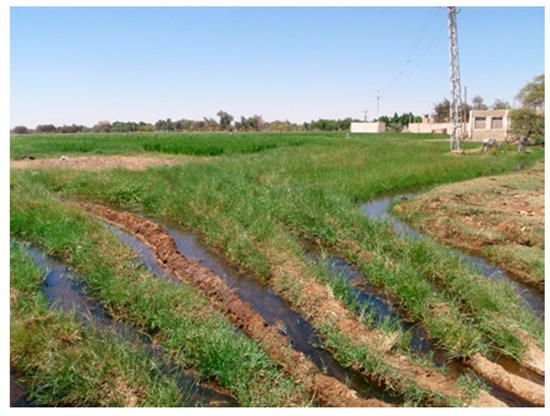 Remotesensing 12 01264 g0a4