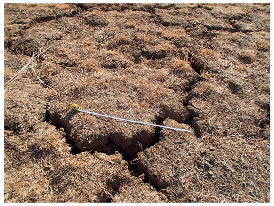 Remotesensing 12 01264 g0a5