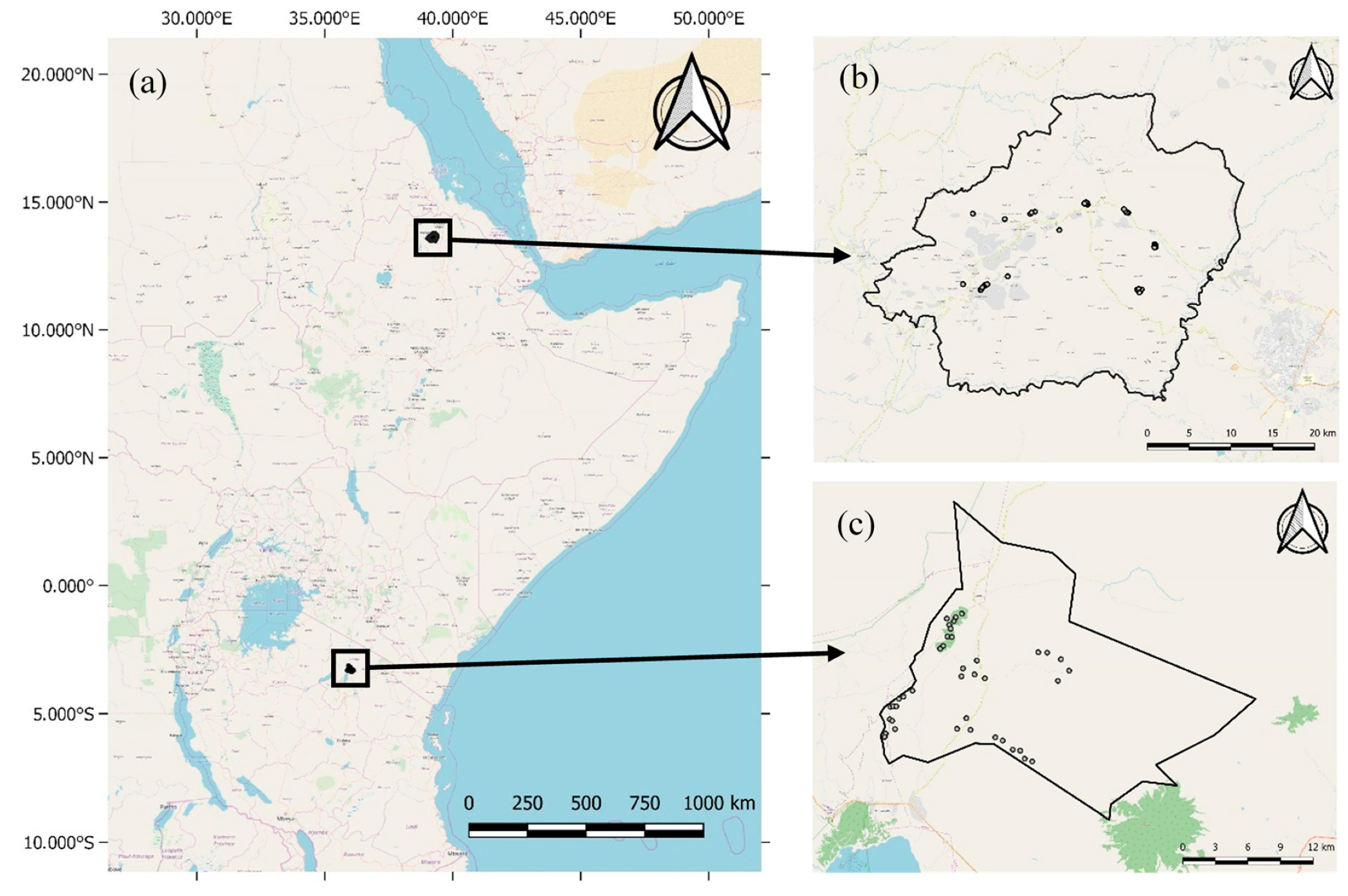 Remotesensing 12 01276 g001