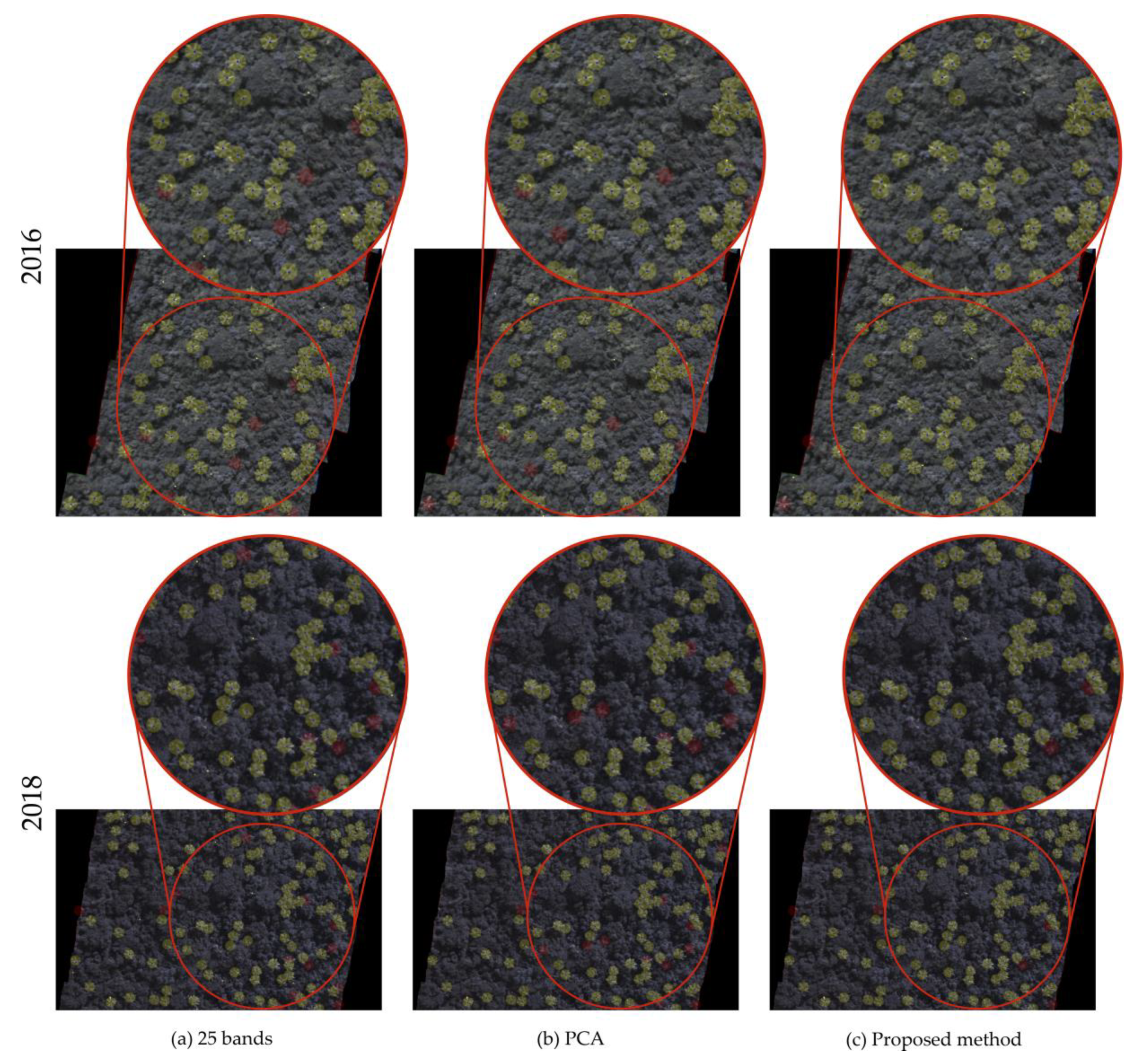 Remotesensing 12 01294 g009