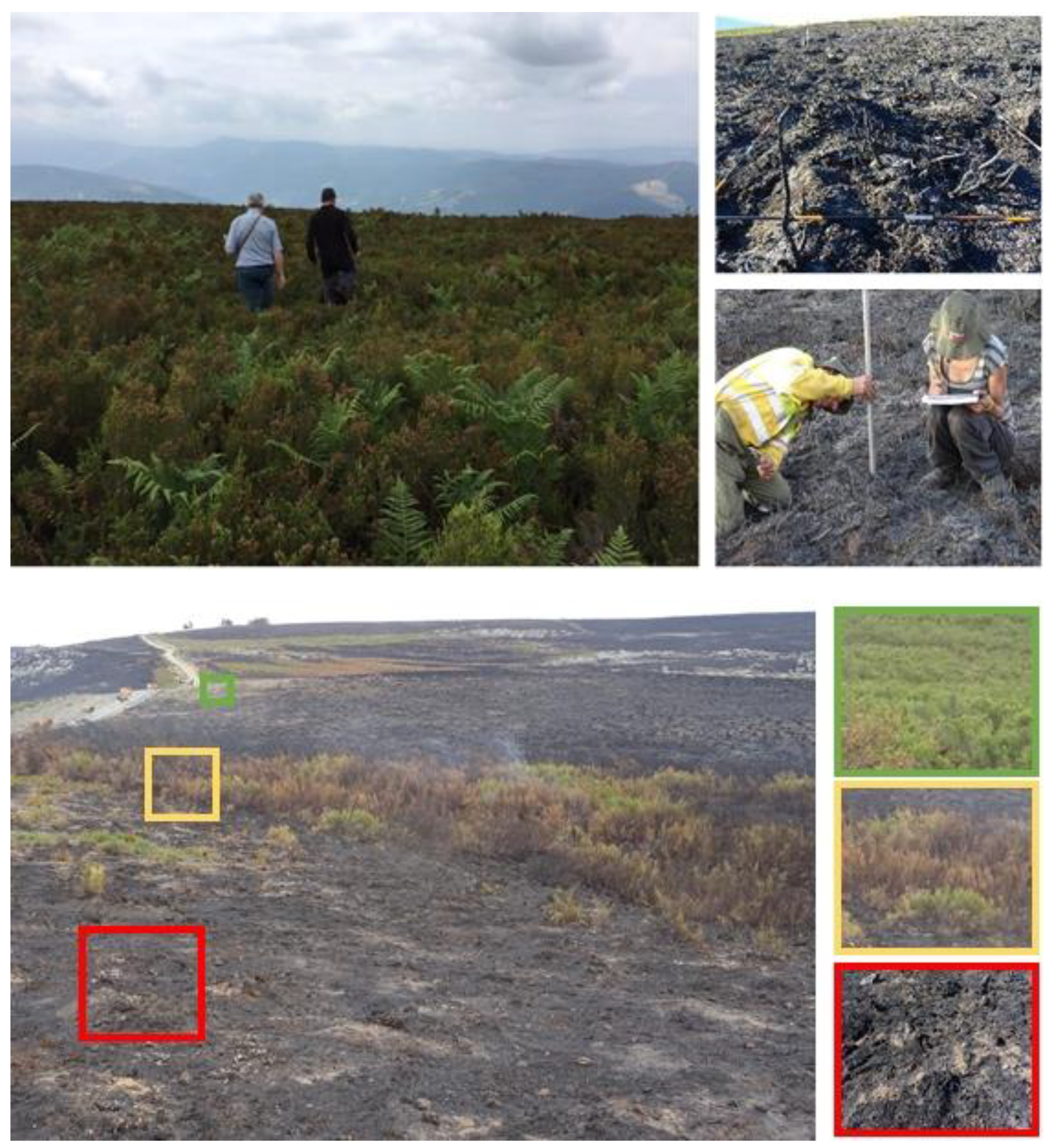 Remotesensing 12 01295 g002 Remotesensing 12 01295 g002