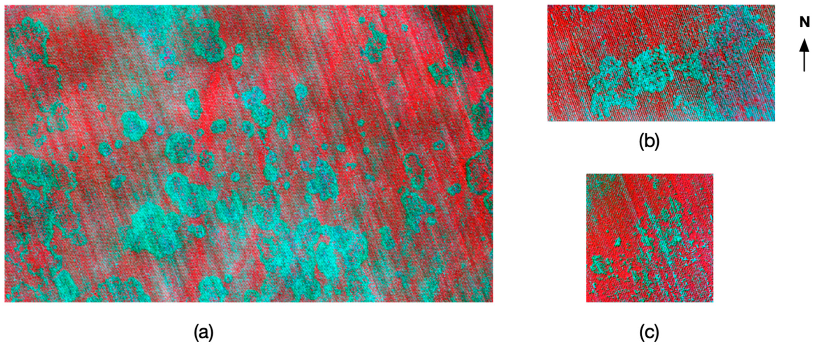 Remotesensing 12 01310 g005 Remotesensing 12 01310 g005