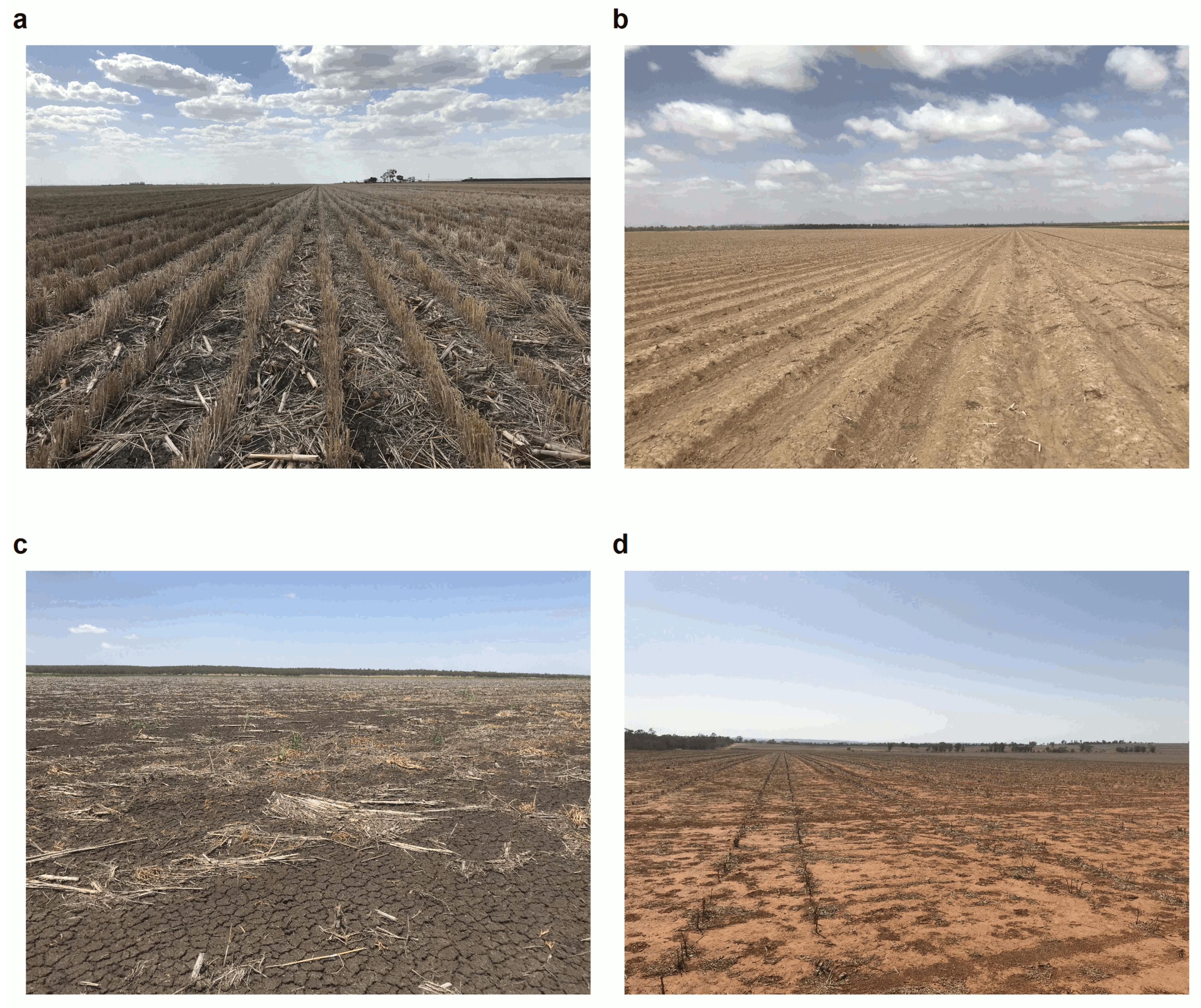 Remotesensing 12 01337 g002