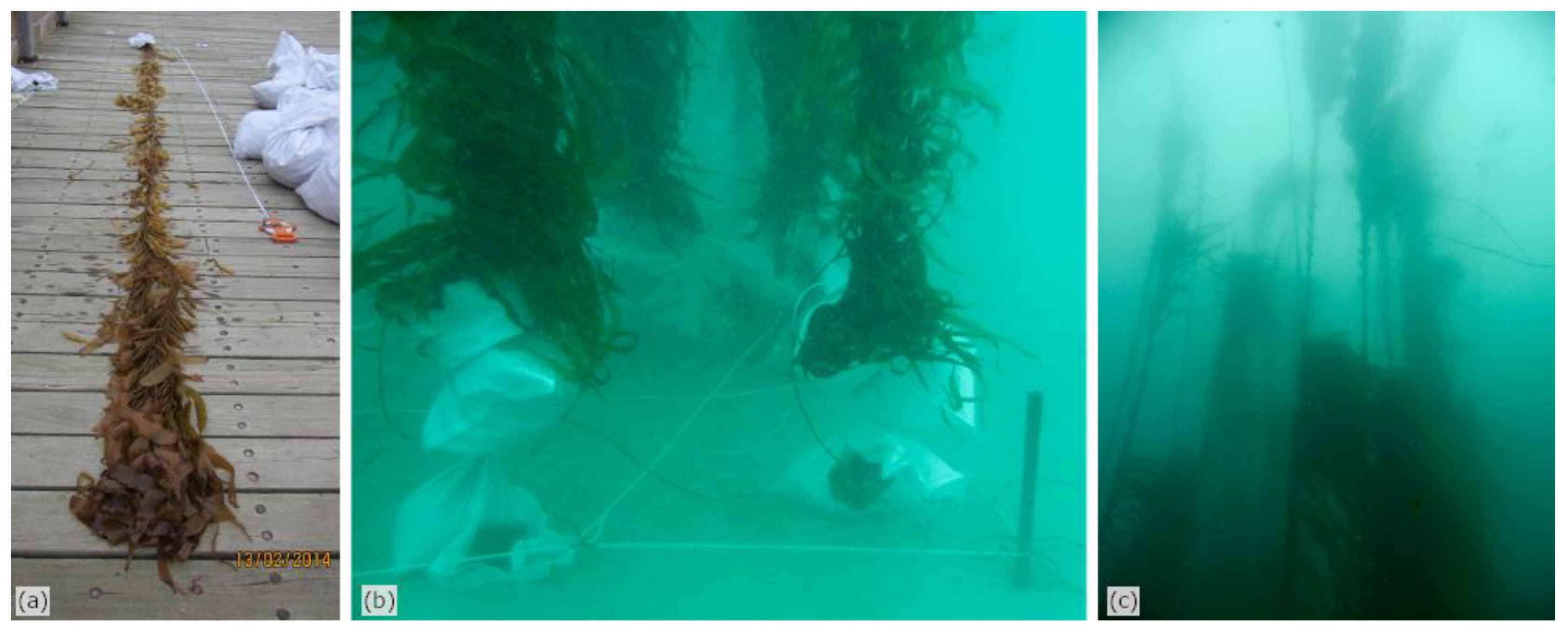 Remotesensing 12 01371 g001