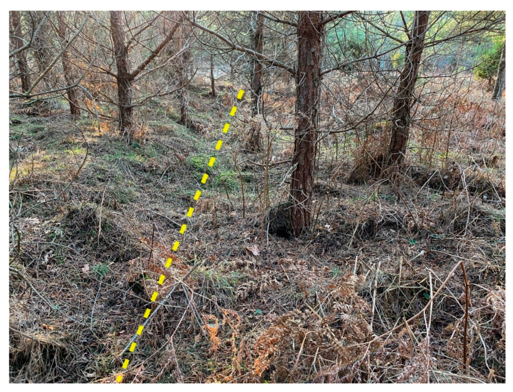 Remotesensing 12 01411 g009