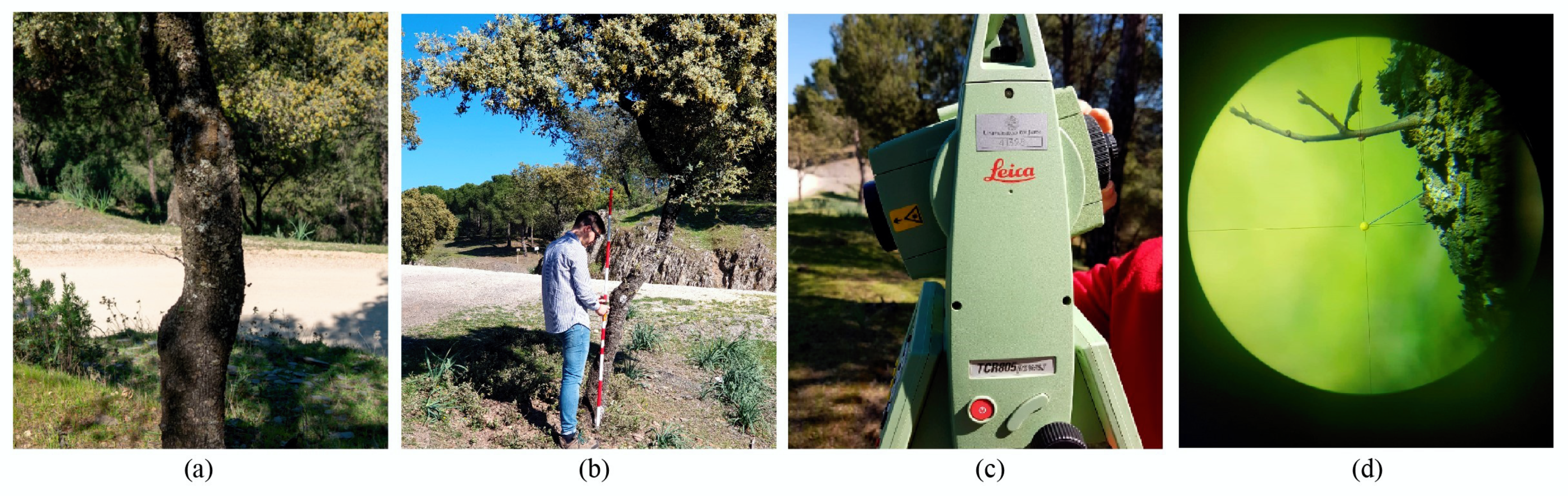 Remotesensing 12 01430 g008