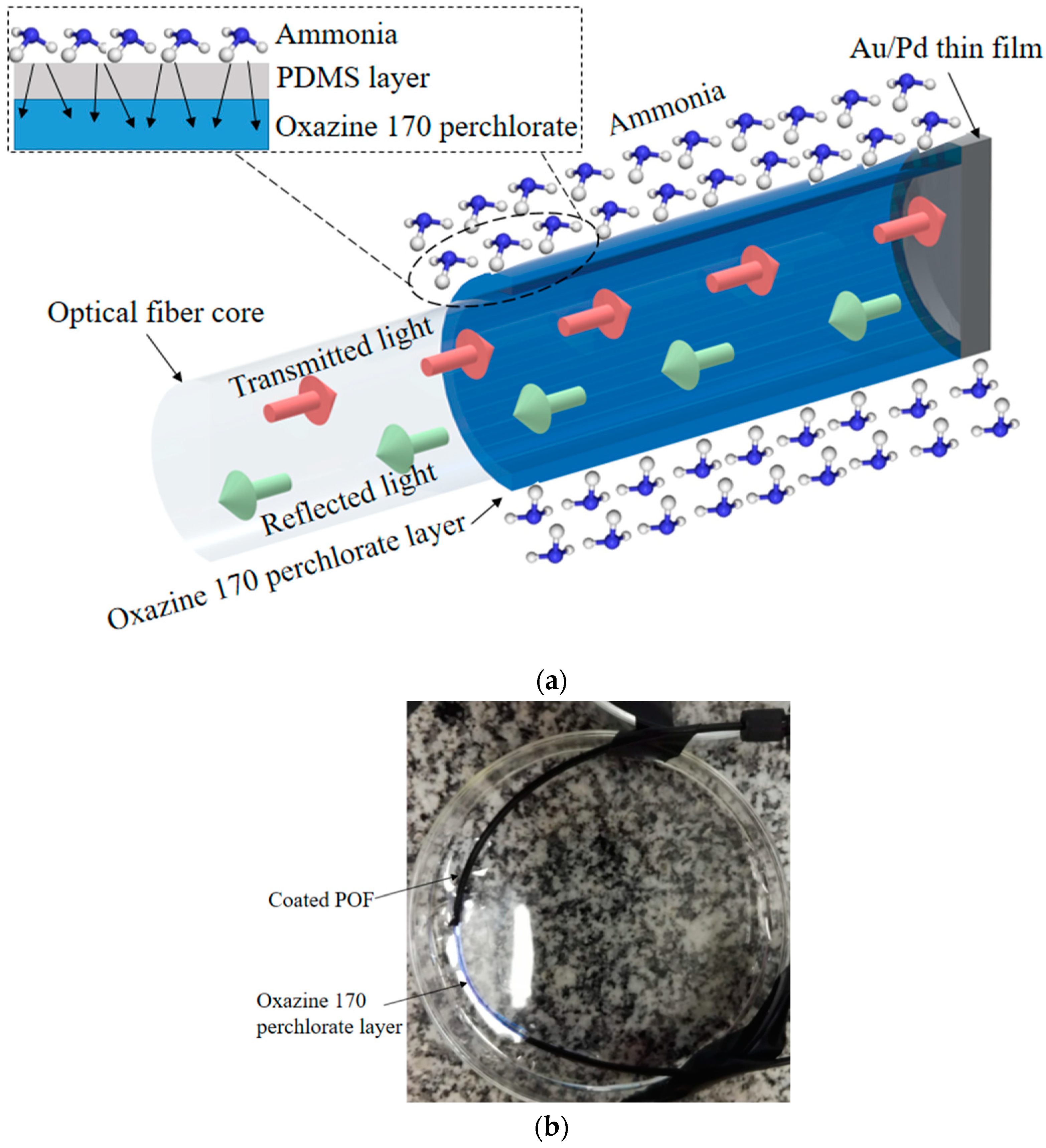 Remotesensing 12 01439 g002 Remotesensing 12 01439 g002