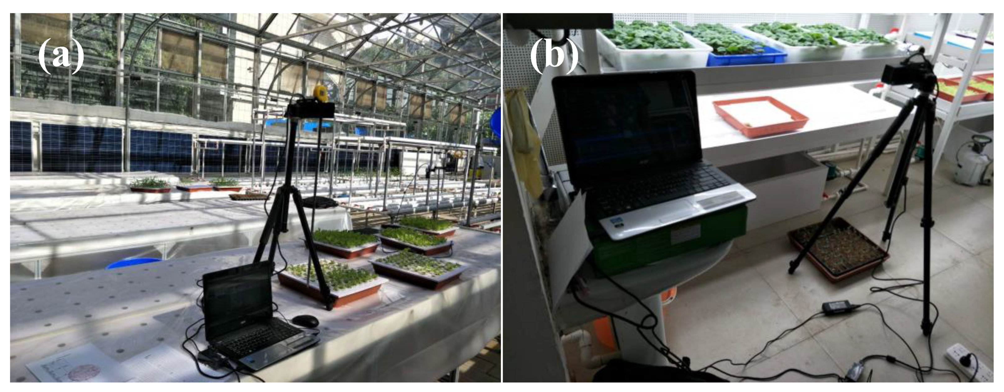 Remotesensing 12 01540 g002 Remotesensing 12 01540 g002