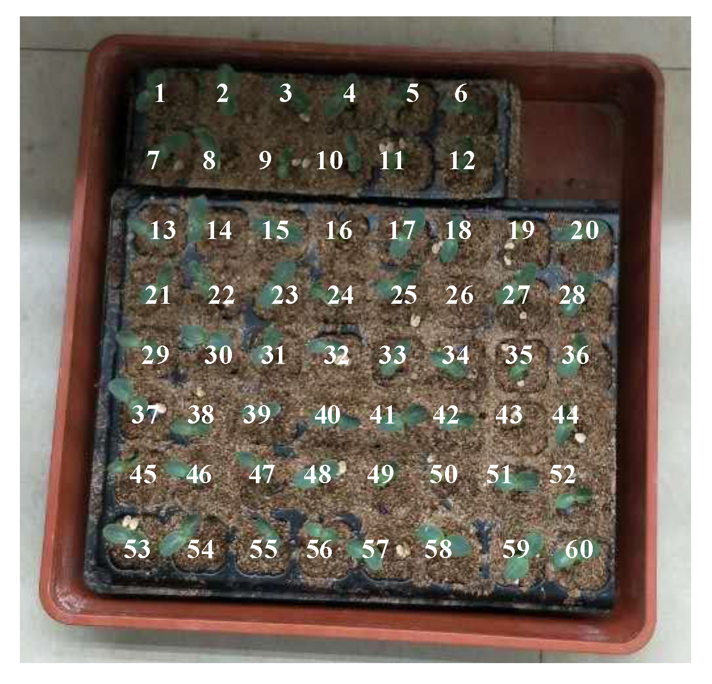 Remotesensing 12 01540 g012 Remotesensing 12 01540 g012