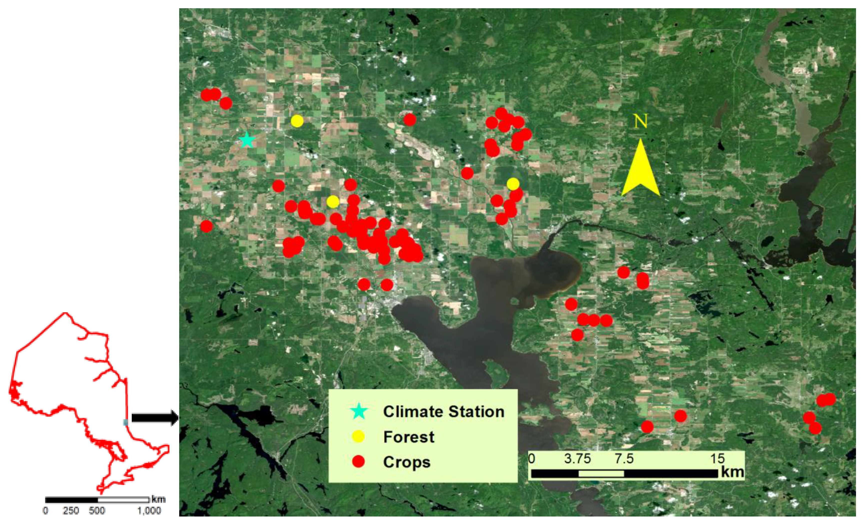 Remotesensing 12 01551 g001