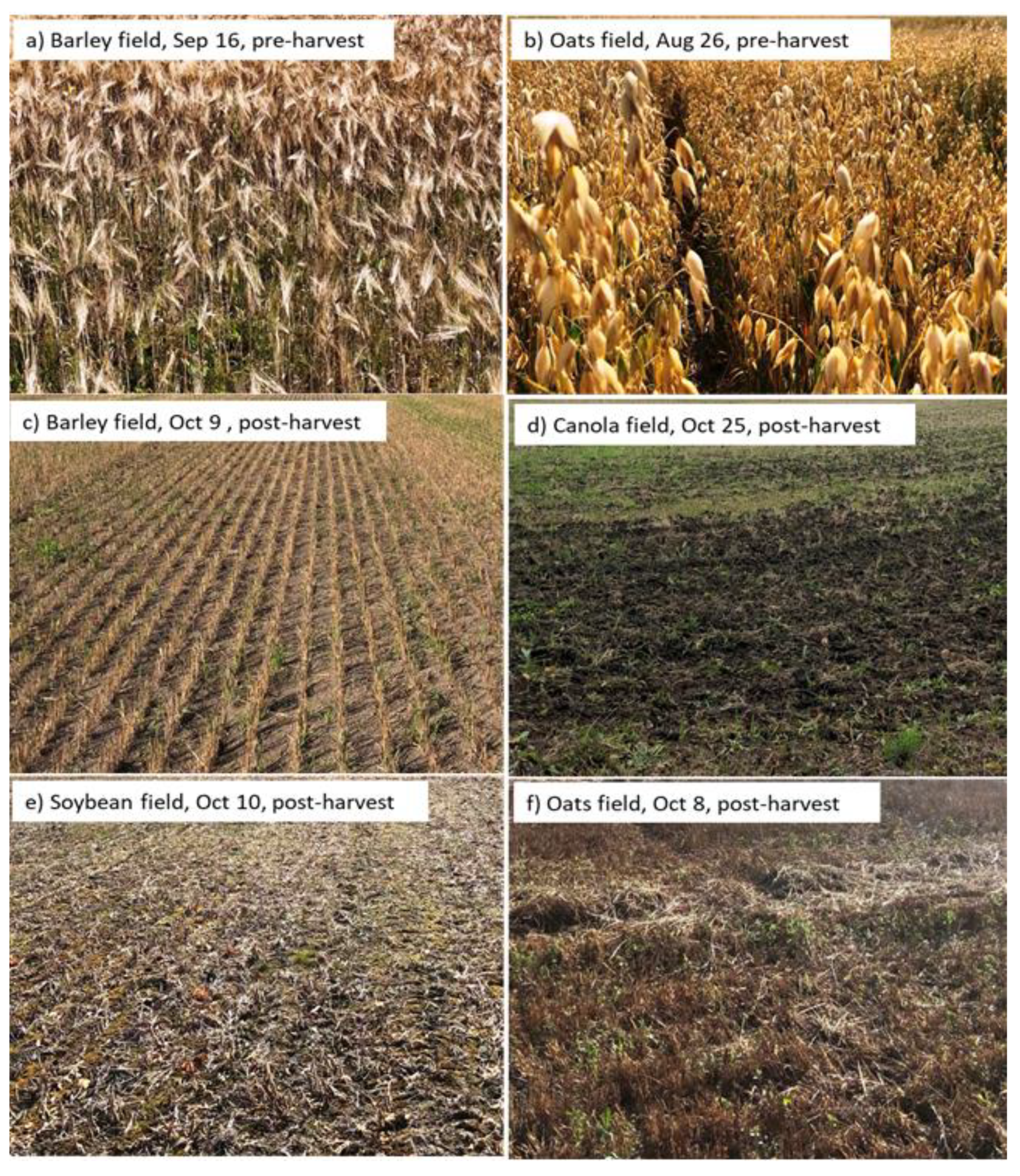 Remotesensing 12 01551 g007