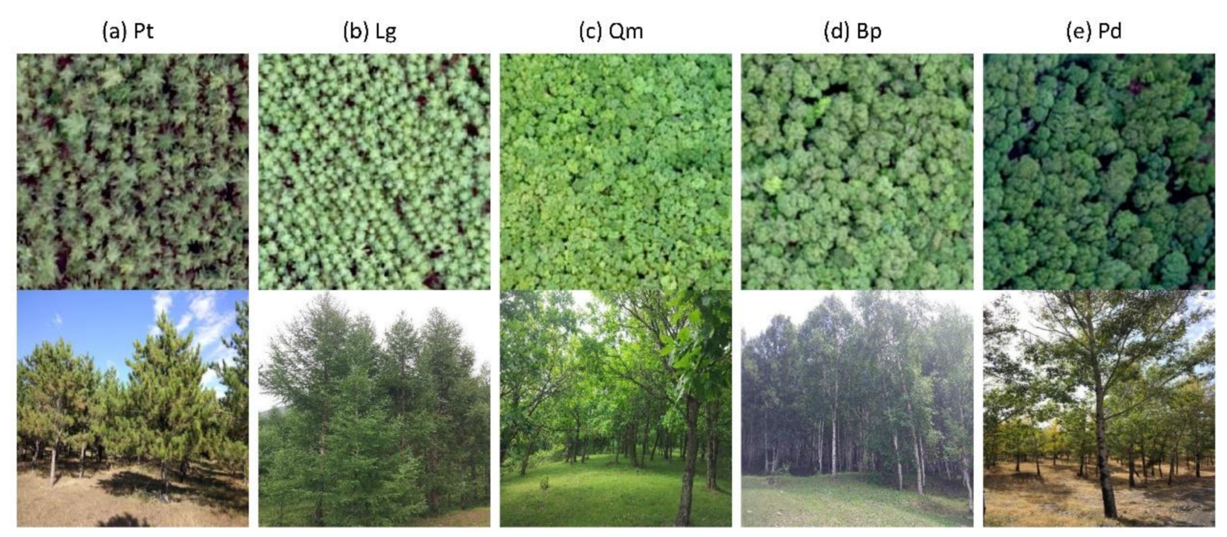 Remotesensing 12 01554 g002