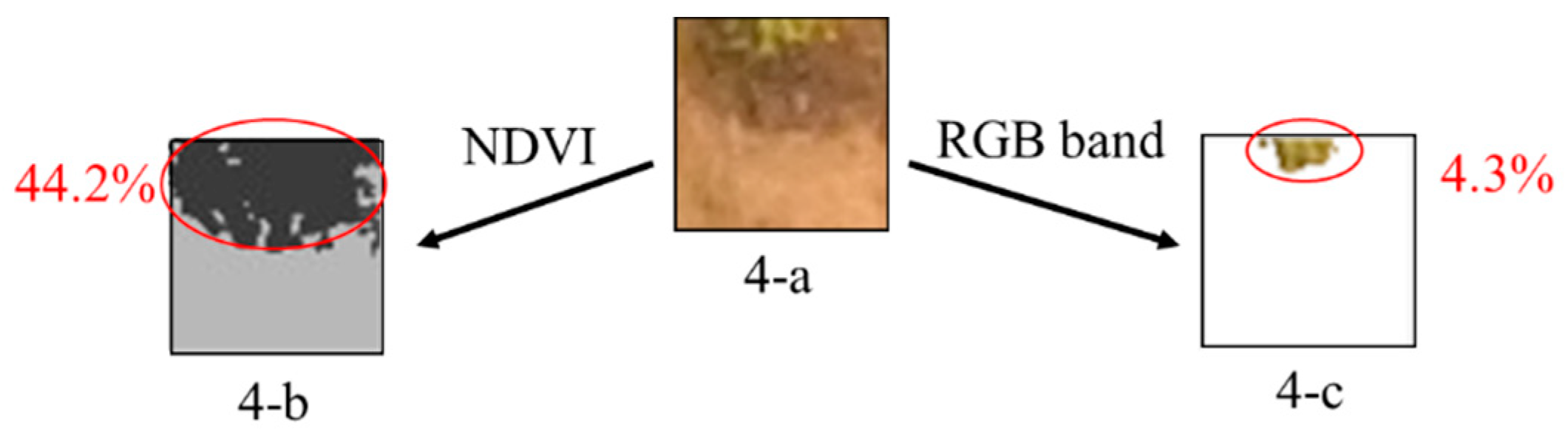 Remotesensing 12 01571 g004 Remotesensing 12 01571 g004