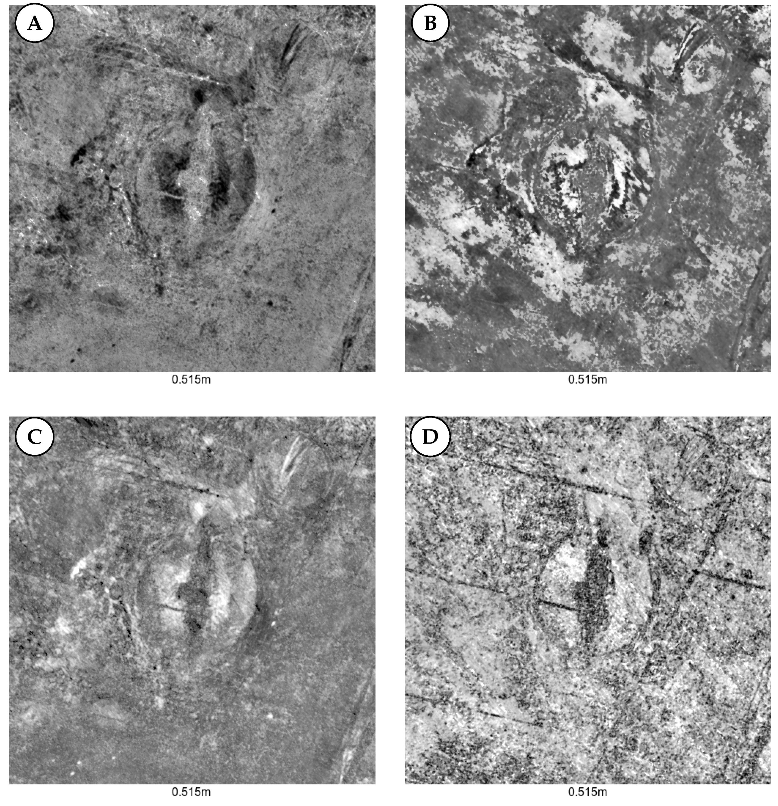 Remotesensing 12 01583 g008