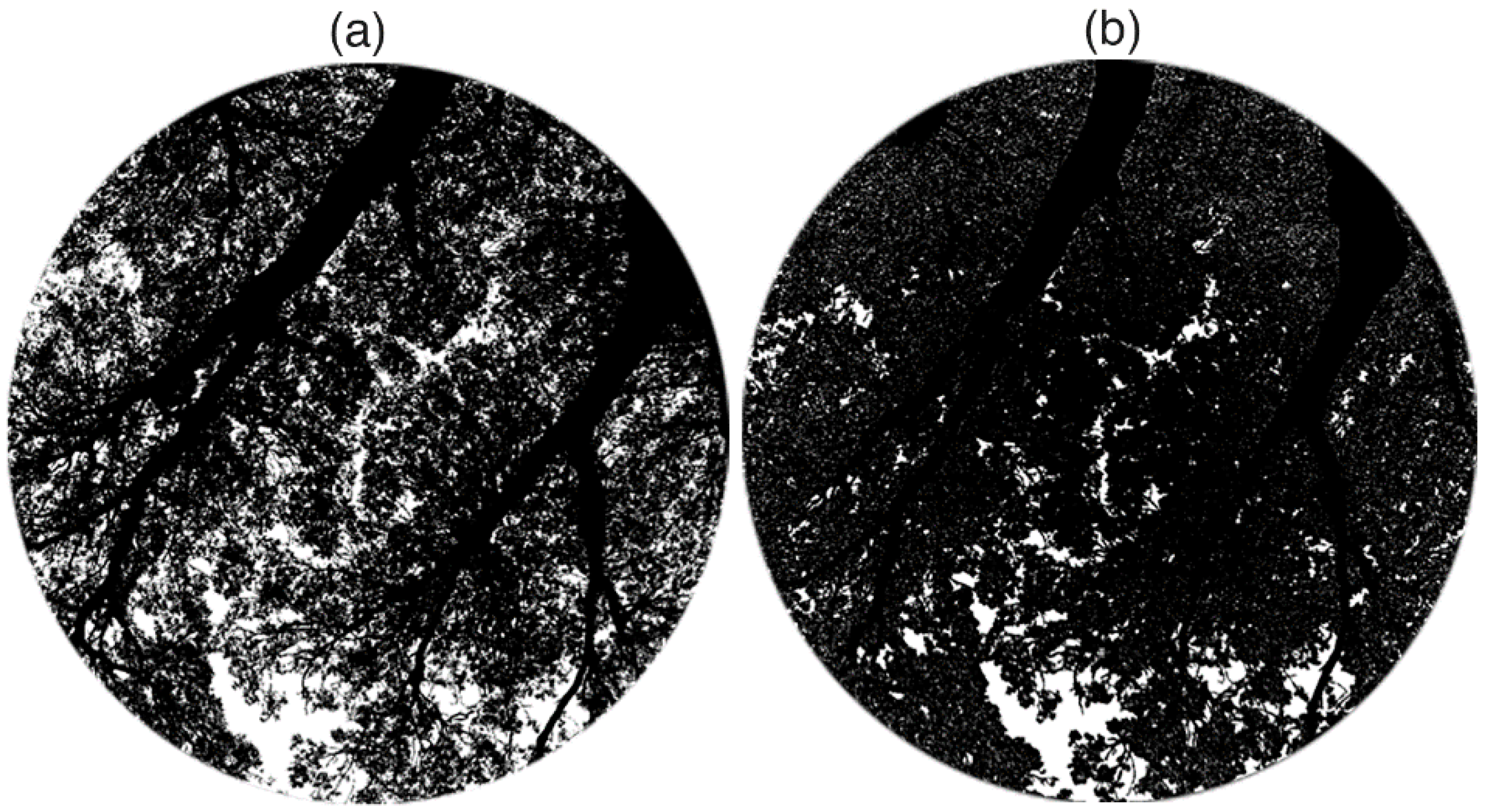 Remotesensing 12 01596 g006