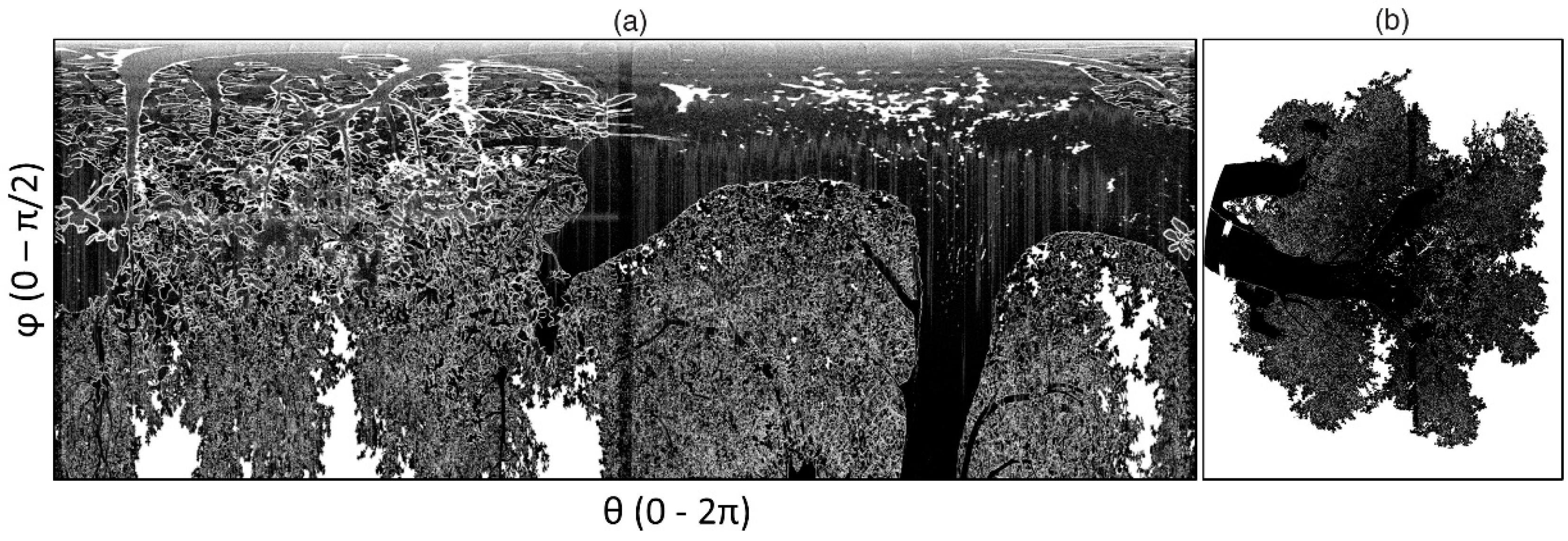 Remotesensing 12 01596 g010