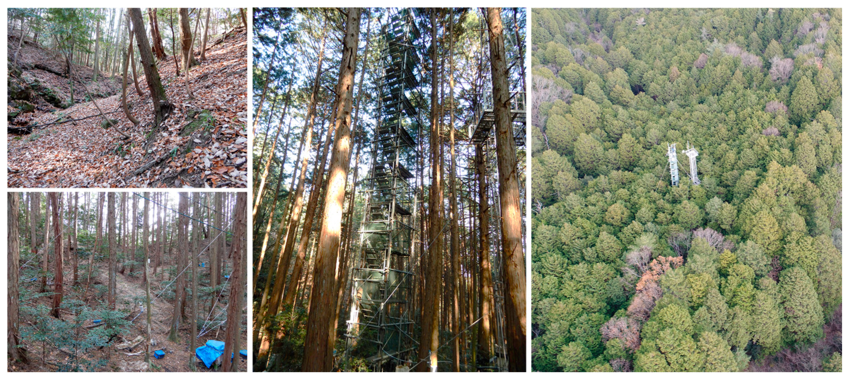 Remotesensing 12 01649 g001